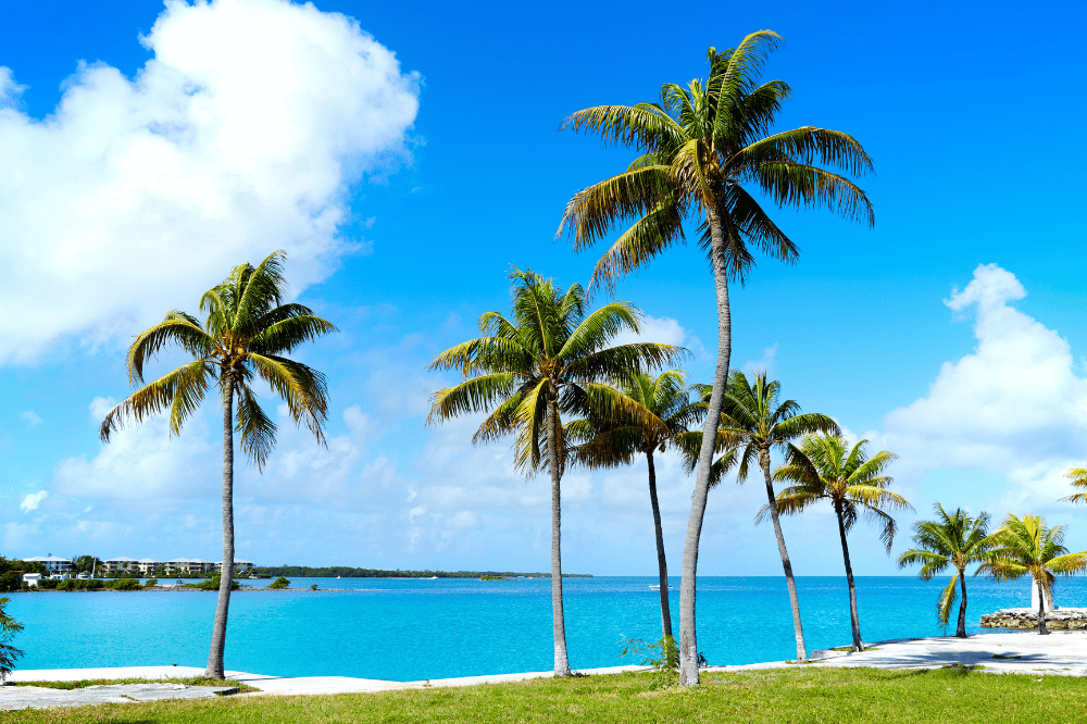 Photo de la mer et de palmiers à Key West en Floride Gate 5 travel