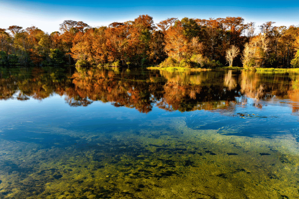 Photo du parc d'état Edward Ball Wakulla Springs State Park en Floride