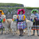 Photo de plusieurs personnes en habits typique colorés avec des lamas