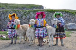 Photo de plusieurs personnes en habits typique colorés avec des lamas