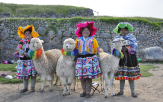 Photo de plusieurs personnes en habits typique colorés avec des lamas